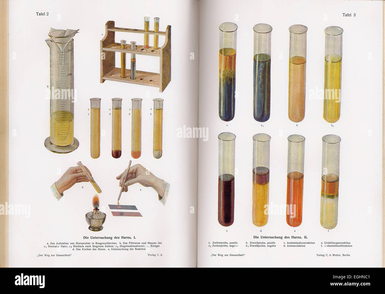 laboratory analysis of urine, c. 1930 Stock Photo Alamy