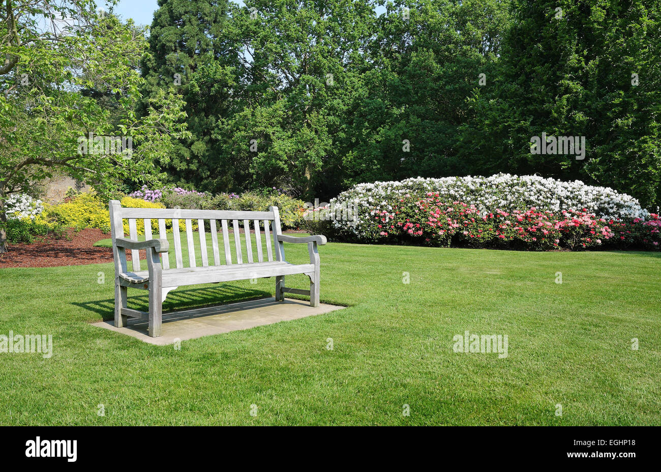 Bench Seat In An English Park With Flowering Rhododendrons Stock