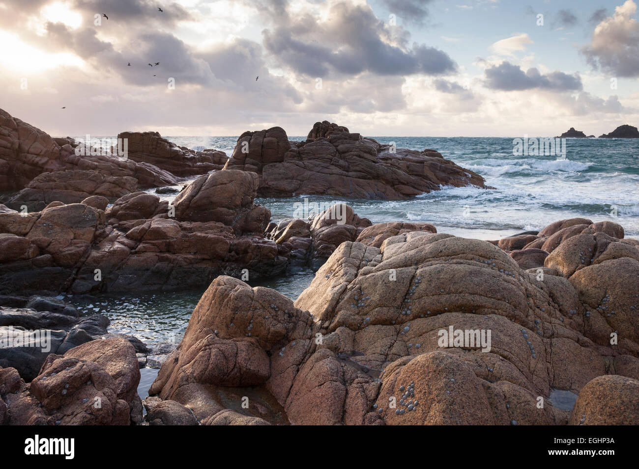 Igneous rock cornwall hi-res stock photography and images - Alamy
