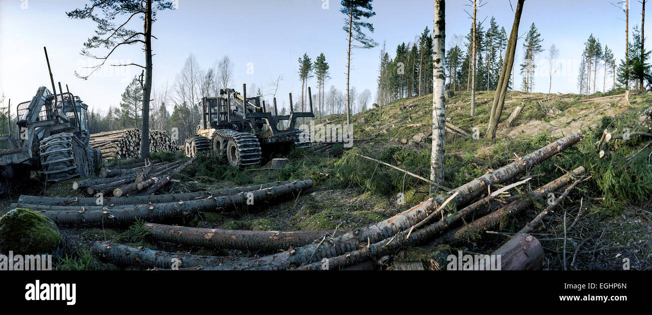 Machines for forestry at a felling site Stock Photo