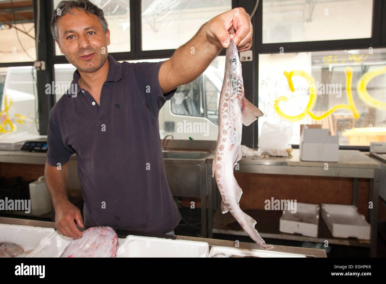 fish market, old town, crotone, calabria, italy, europe Stock Photo Alamy