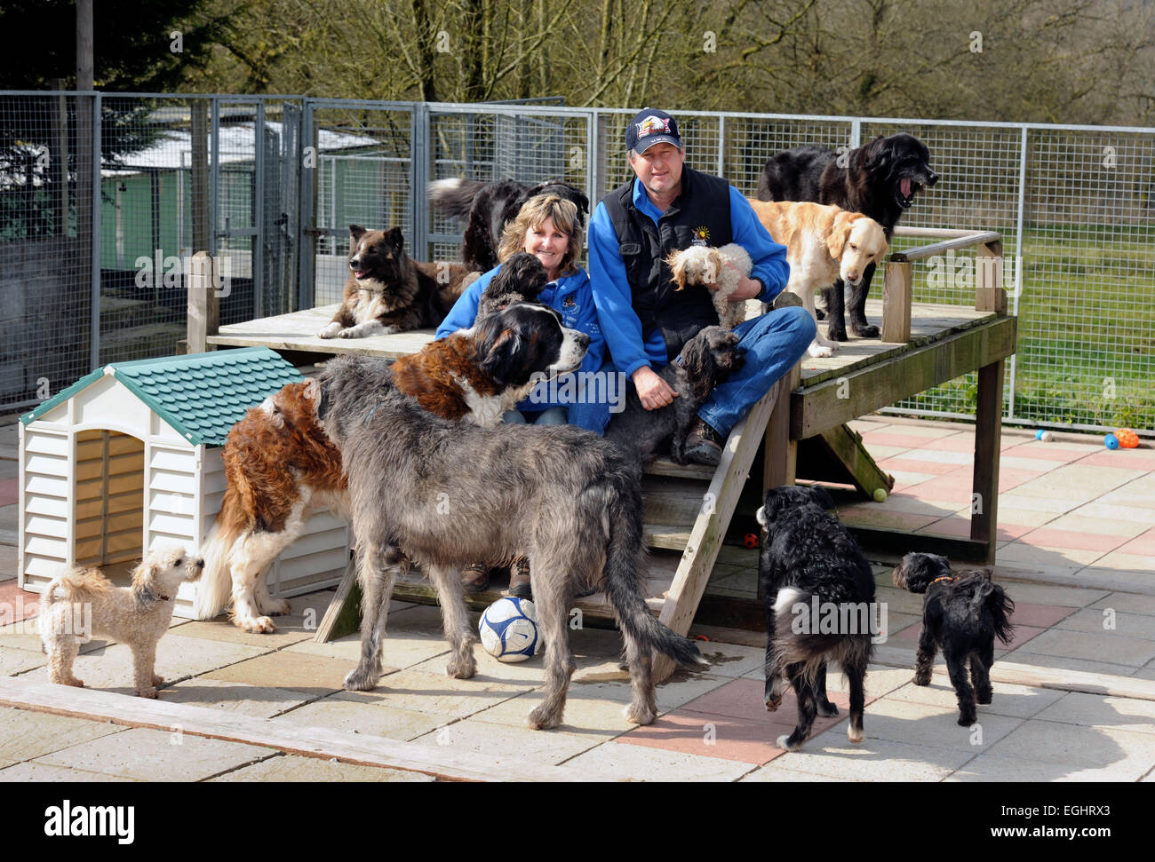 Owners of the Many Tears Animal Rescue centre near Llanelli, S. Wales UK, Sylvia and Bill Van Atta with some of their dogs Stock Photo - Alamy Owners of the Many Tears Animal Rescue centre near Llanelli, S. Wales UK, Sylvia and Bill Van Atta with some of their dogs Stock Photo - Alamy