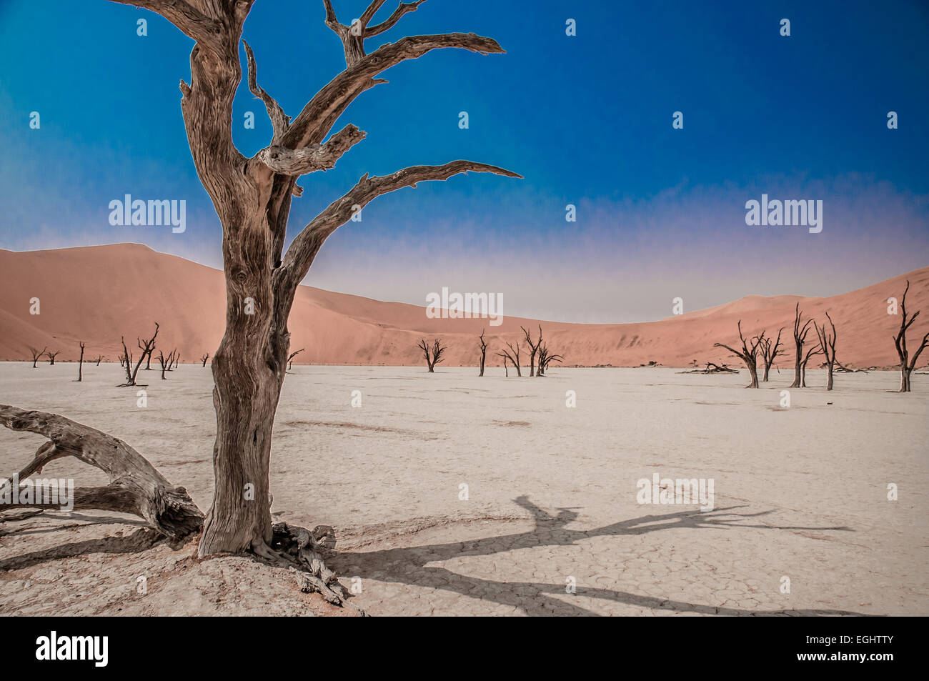Surreal landscape in the Namib Desert at sunrise Stock Photo