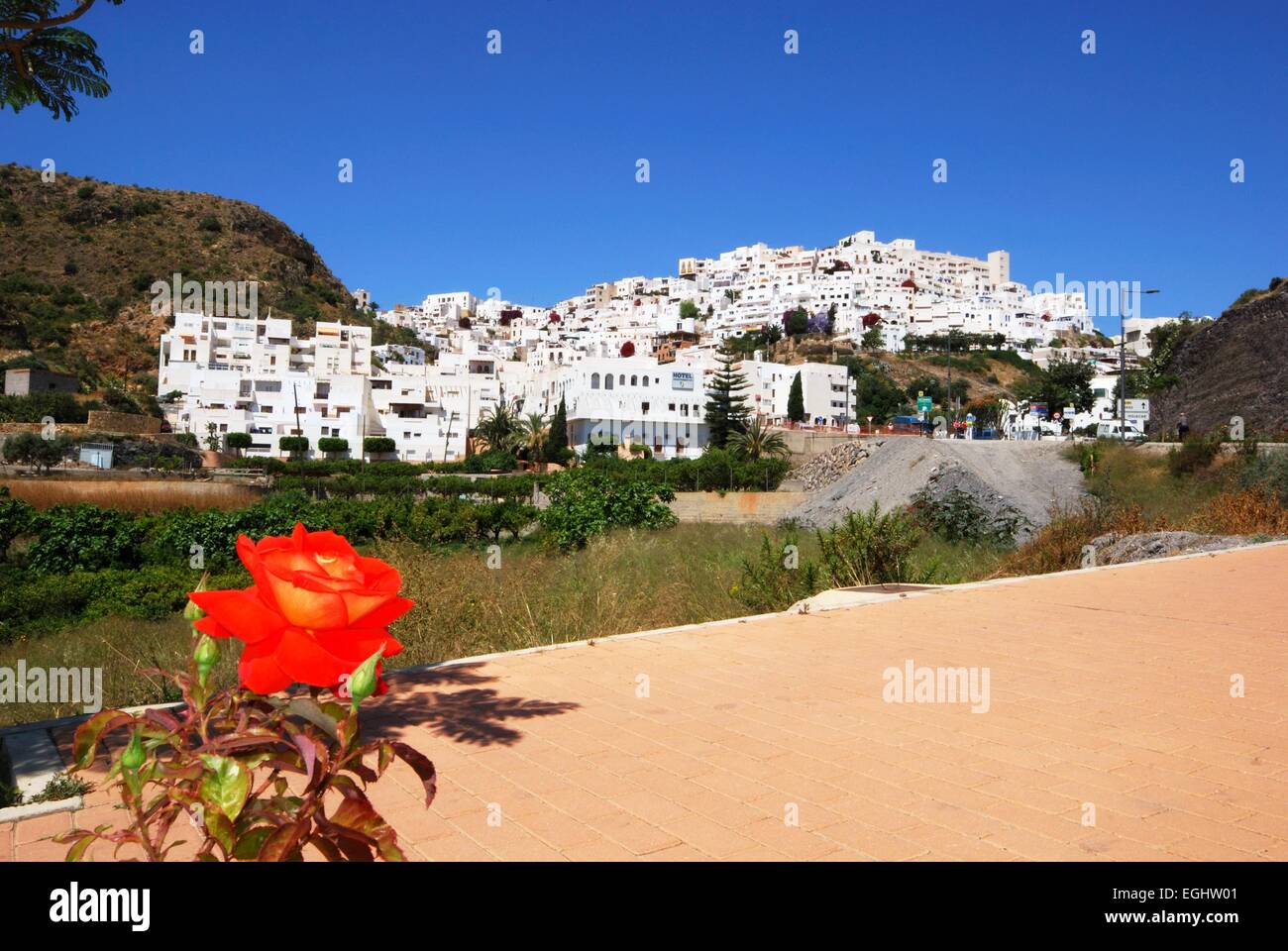 White rose view building hires stock photography and images Alamy
