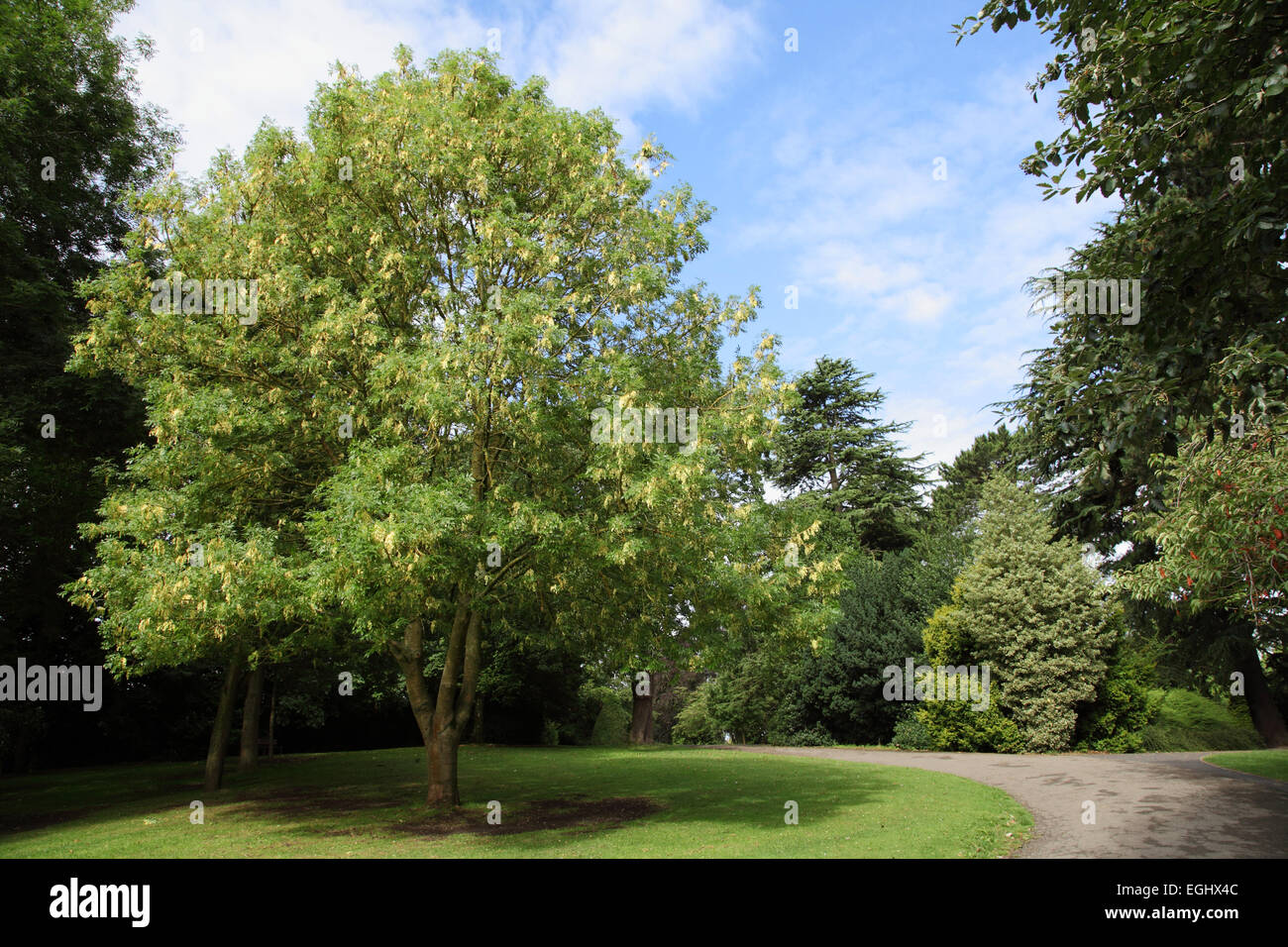 Lido Park in Droitwich, Worcestershire Stock Photo - Alamy