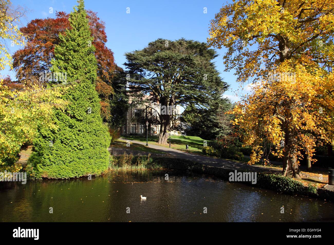 The winter gardens, at Great Malvern, Worcestershire Stock Photo Alamy