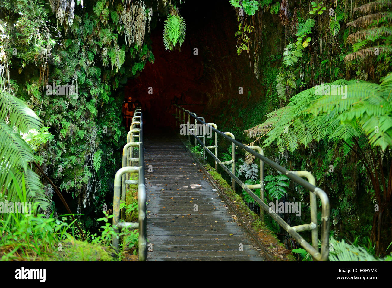Entrance to Thurston lava tube in Volcanoes National Park on Big Island