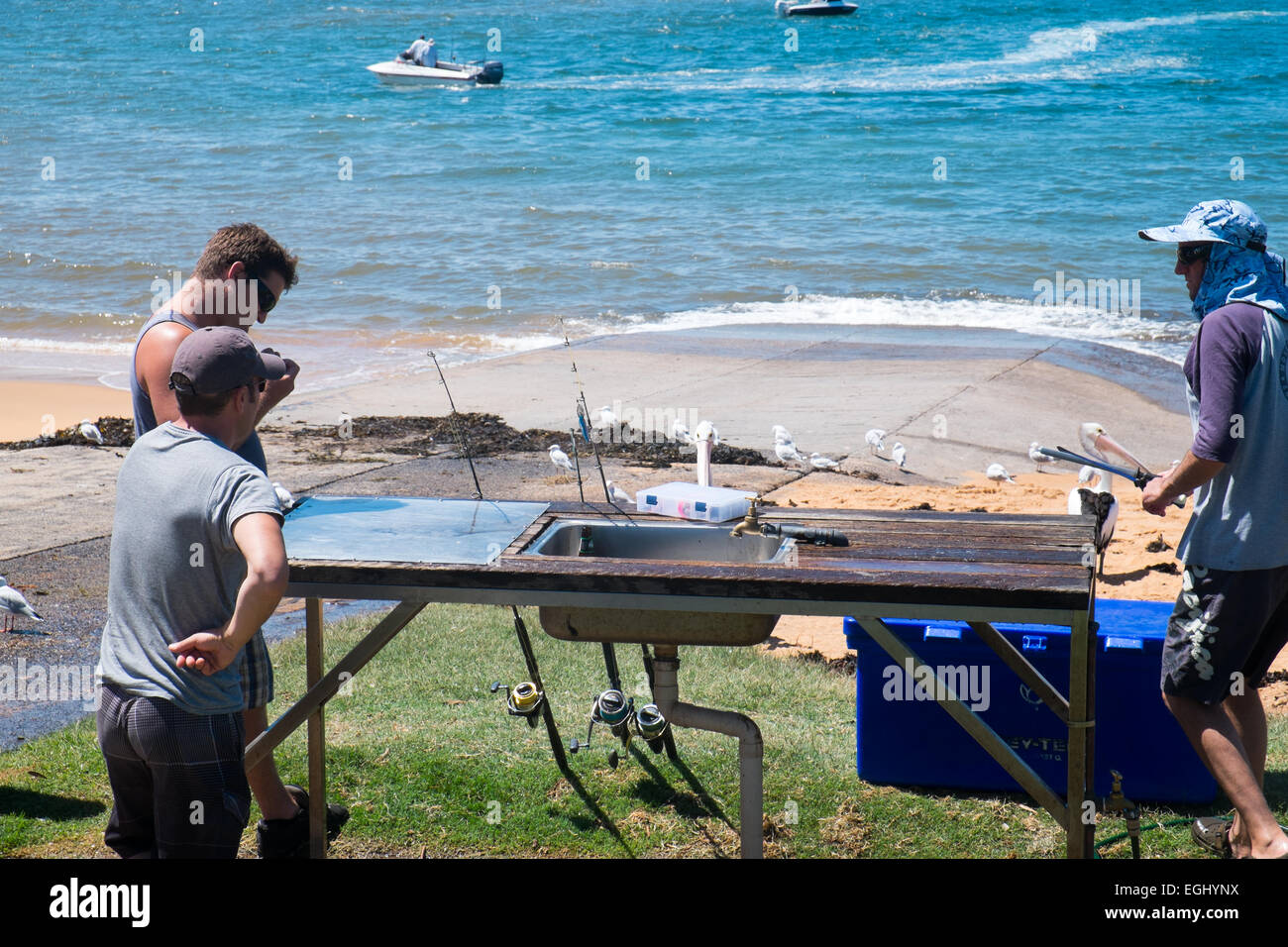 fishermen cleaning and filleting their catch on long reef fishermans