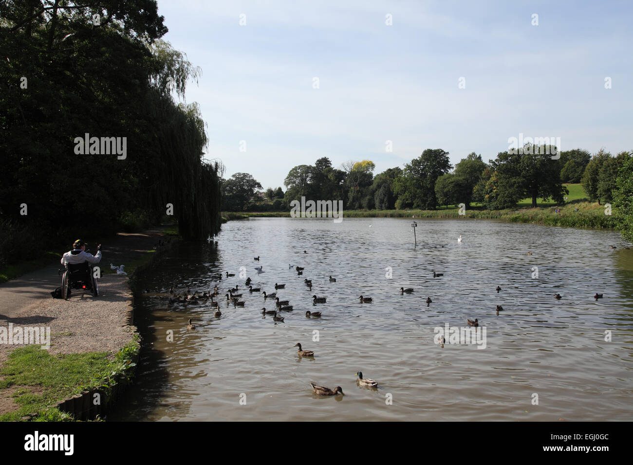 Abbey Fields, a park at Kenilworth, Warwickshire, UK Stock Photo Alamy