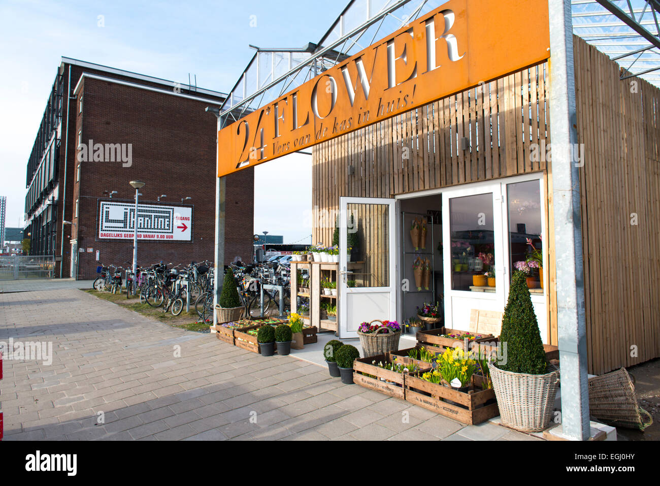 Flower shop at NDSM wharf, North Amsterdam's 'happening' hipster area of rejuvenated docklands Amsterdam-Noord Stock Photo