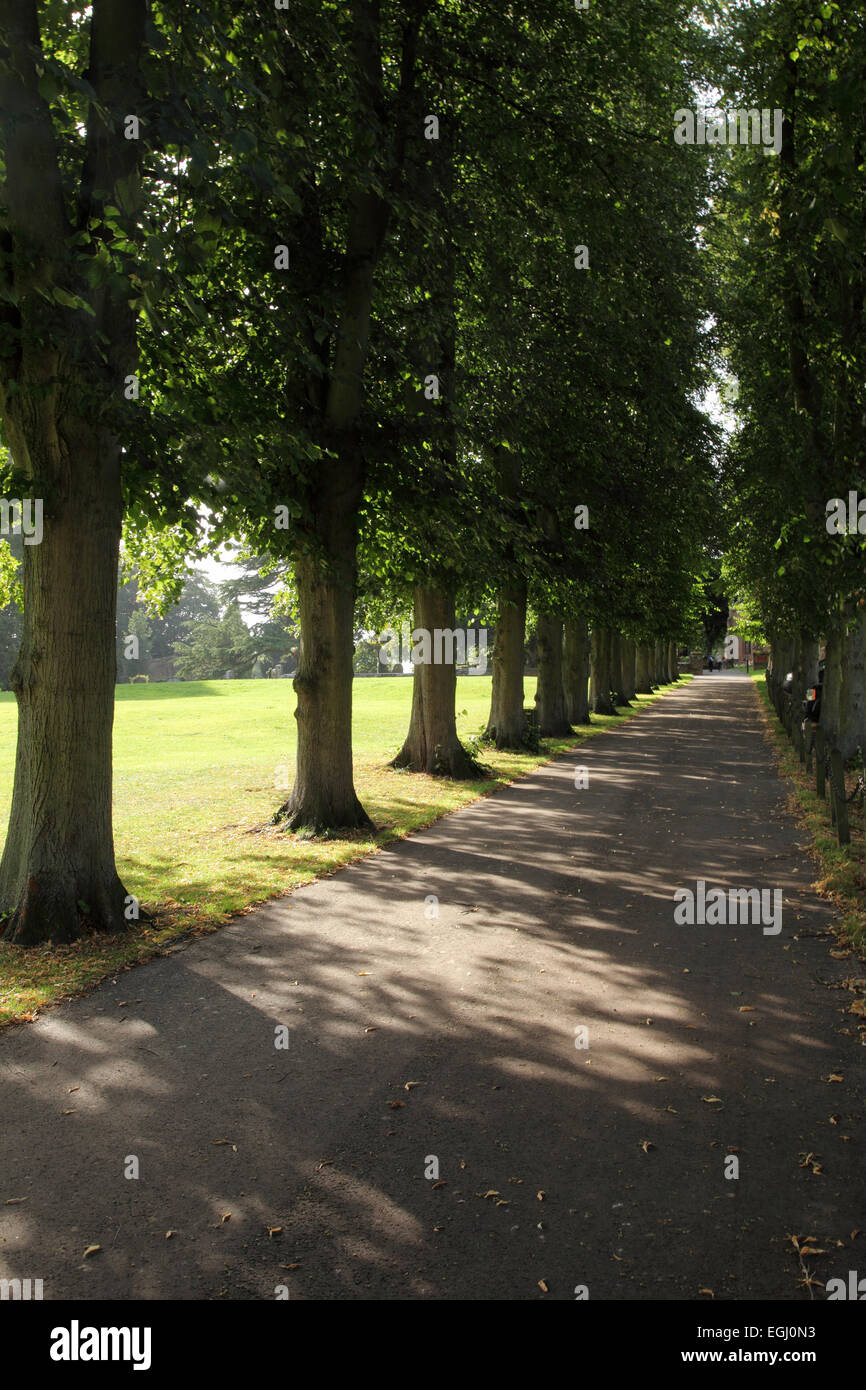 St Nicholas Church Kenilworth Stock Photo Alamy