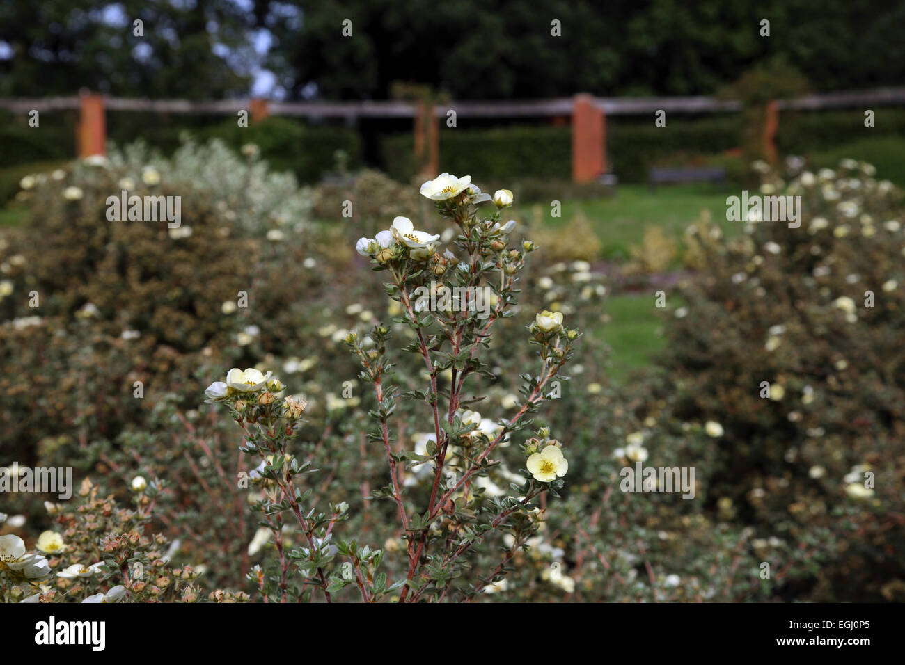 Shirley Park in Shirley, Solihull, West Midlands Stock Photo Alamy