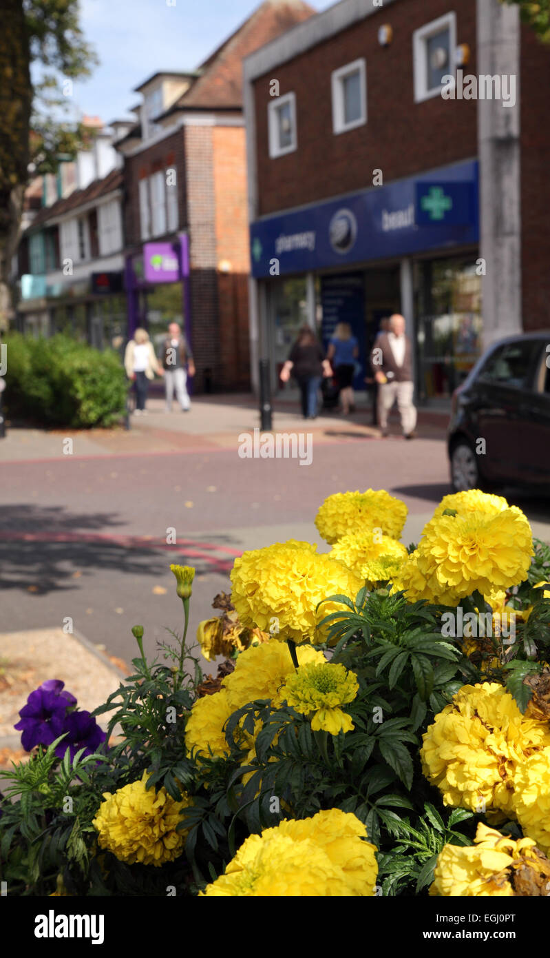 Shopping on the Stratford Road in Shirley, Solihull, West Midlands