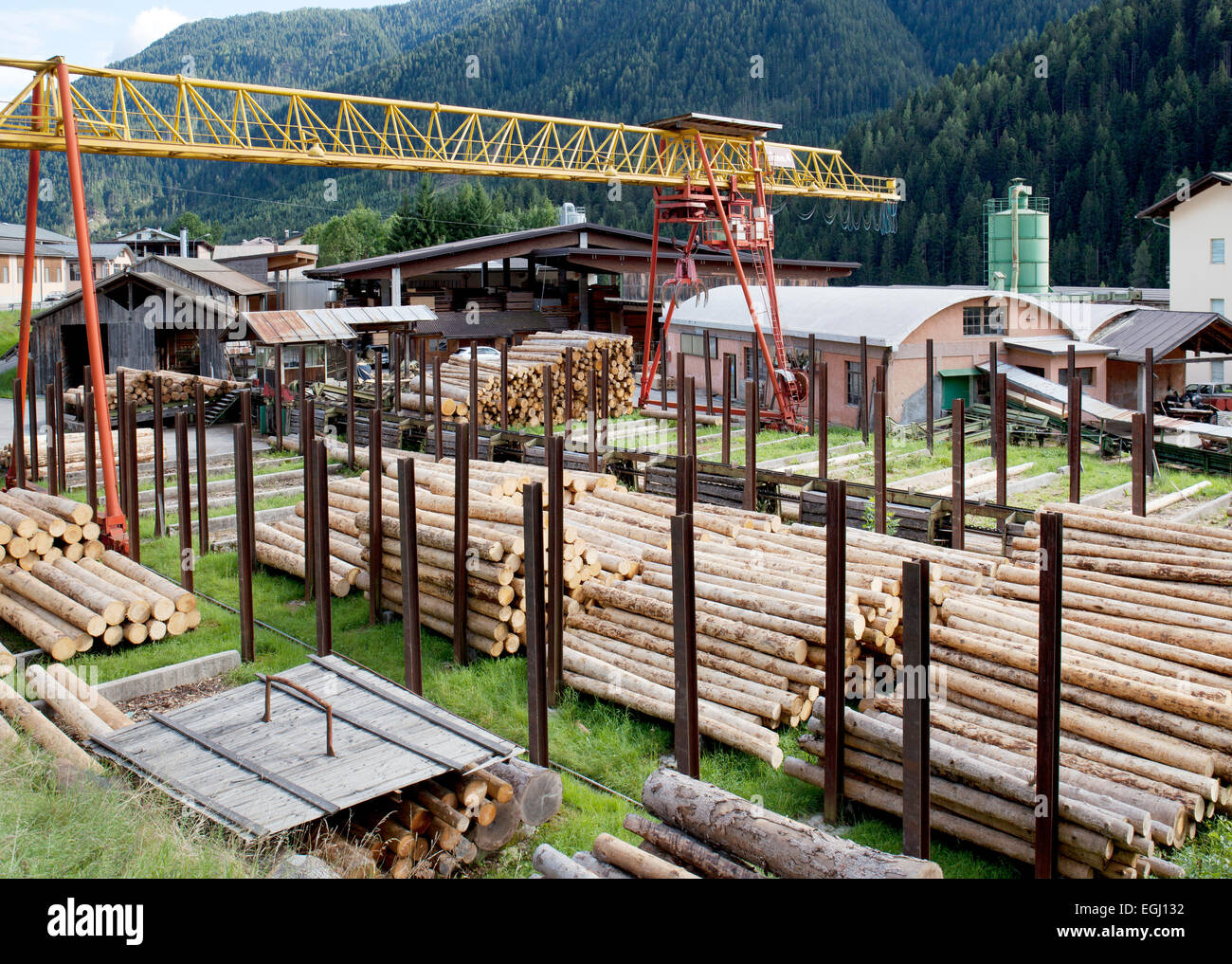 Wood Industry Stock Photo