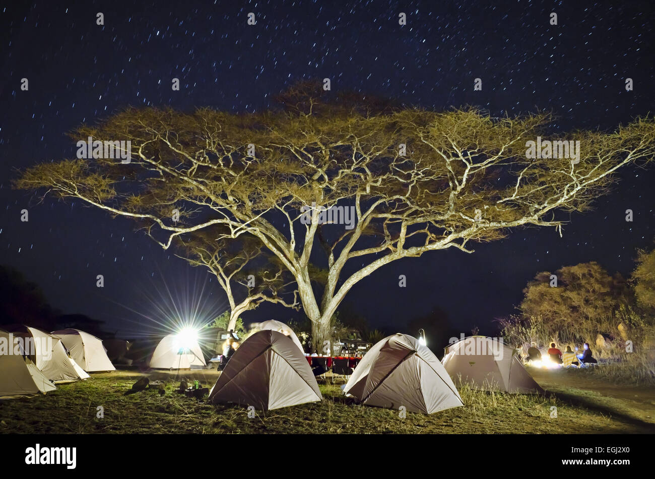 Africa, Tanzania, East Africa, Serengeti, tent camp, camp site, Stock Photo