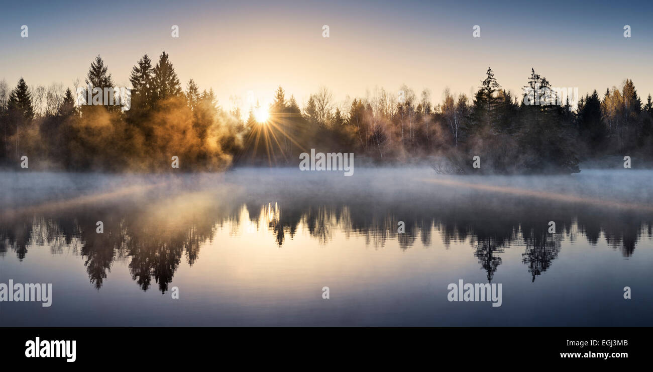 Lake, fog, light, water, wood, fir trees Stock Photo Alamy