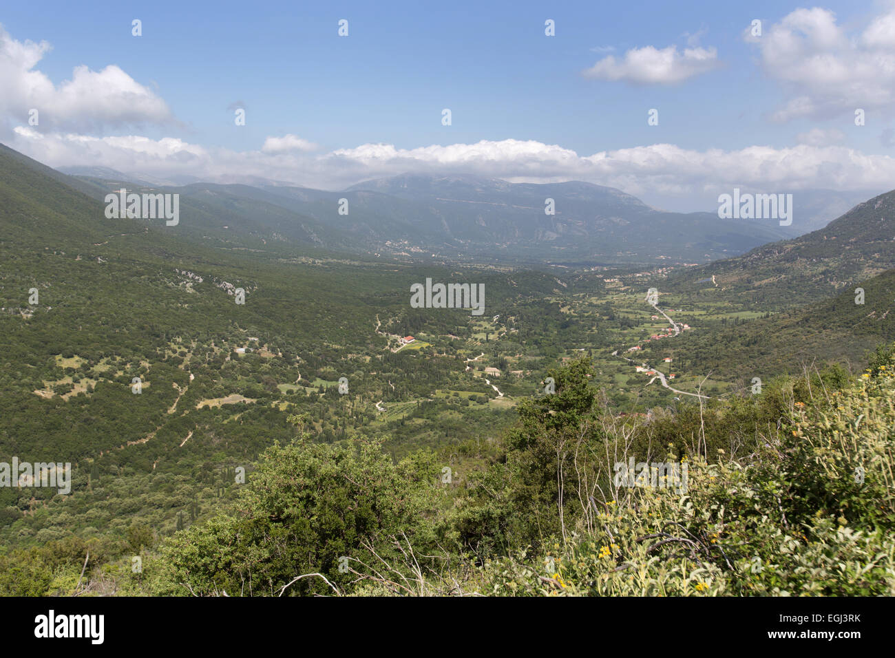 National Park, Kefalonia. Picturesque roadside view of Mount Enos National Park, from east side of Mount Enos. Stock Photo