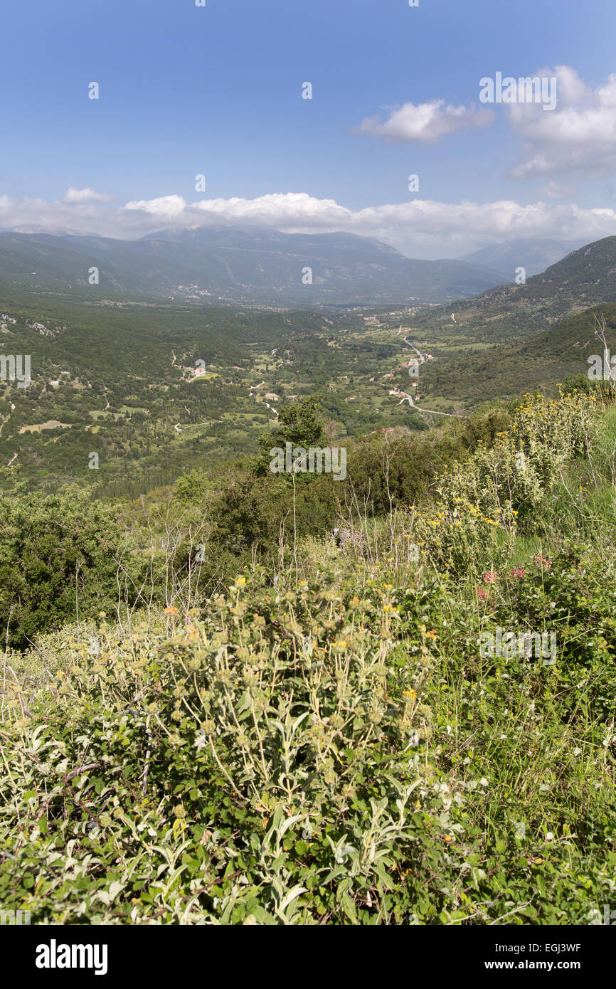 National Park, Kefalonia. Picturesque roadside view of Mount Enos National Park, from east side of Mount Enos. Stock Photo