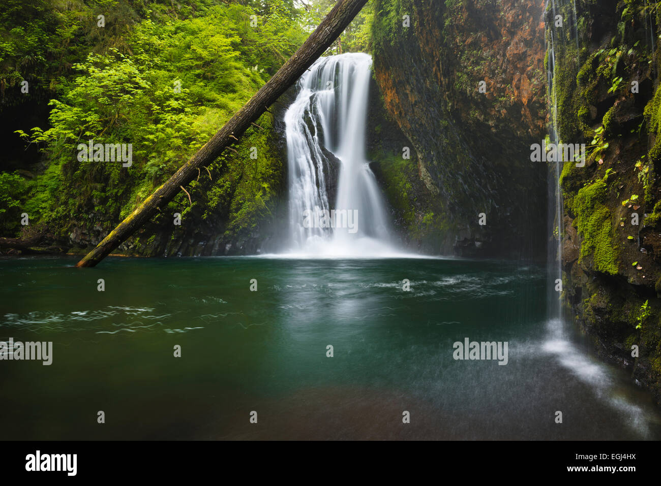 The USA, America, Butte Falls, sea, water, waterfall, jungle, rain