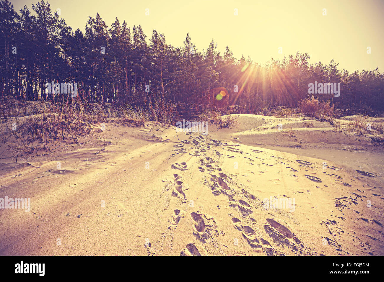 Vintage faded nature background with flare effect Stock Photo - Alamy