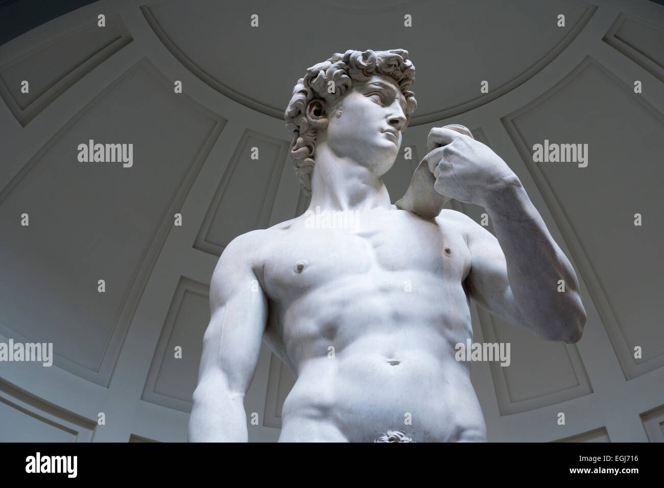 Michaelangelo's Statue of David, Academia, Florence, Italy. Stock Photo
