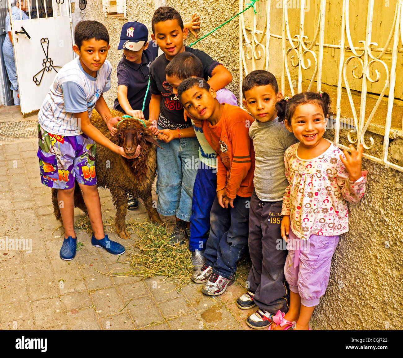 Kids with their sheep on Eid al-Adha in Fes Morocco Africa Stock Photo