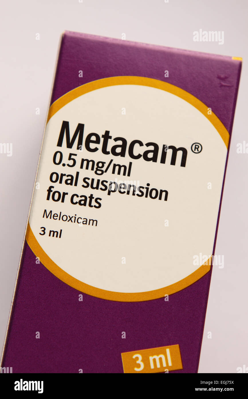 Meloxicam hi-res stock photography and images - Alamy