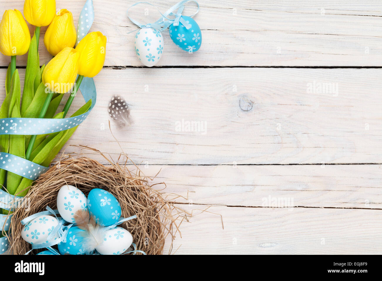 Easter background with blue and white eggs in nest and yellow tulips ...