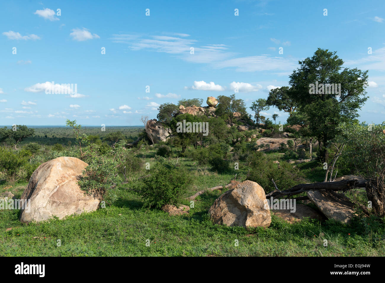 Granite koppies and landscape in the south of Kruger National Park, South Africa Stock Photo