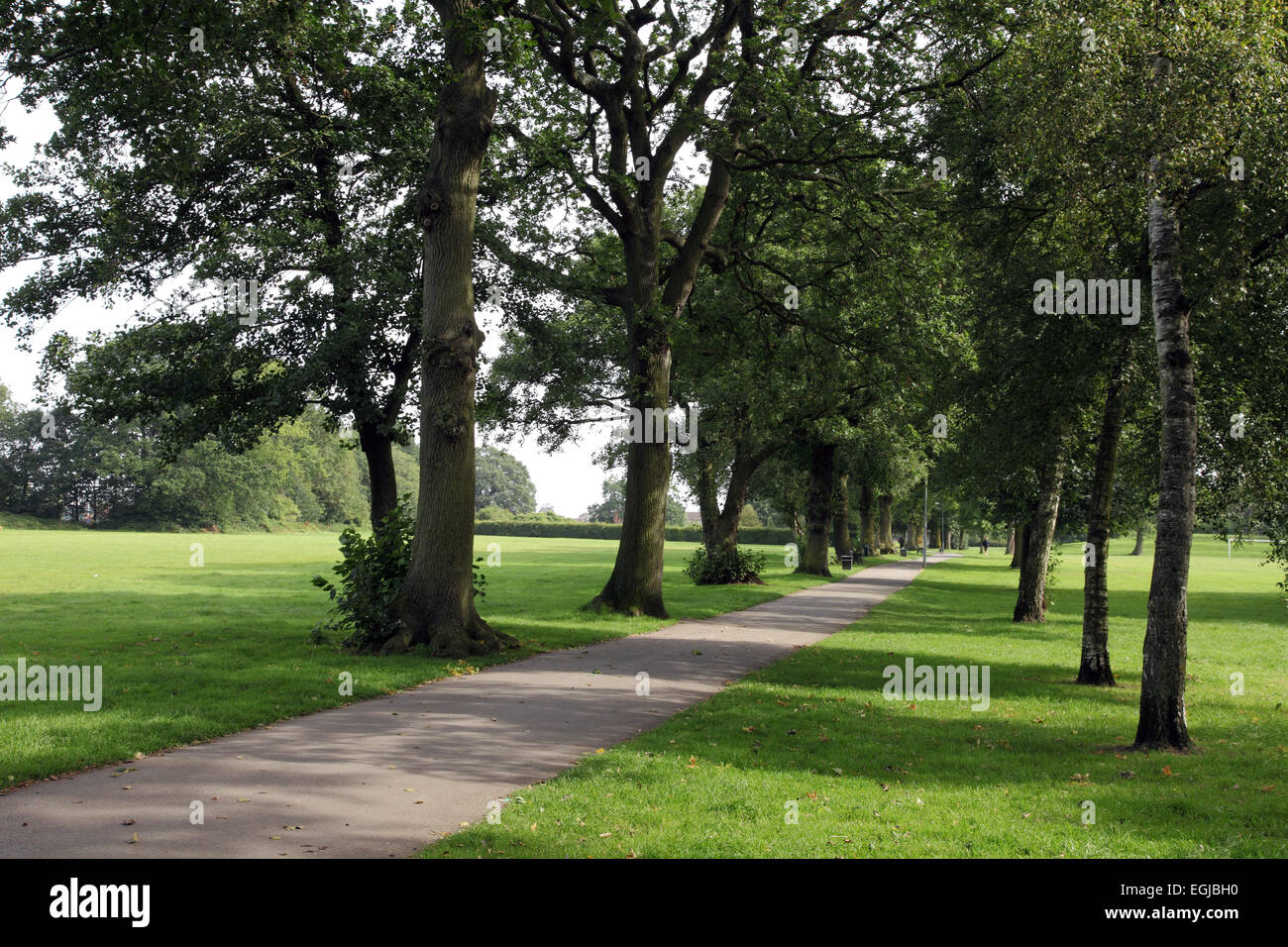 Shirley Park, Shirley, Solihull, West Midlands Stock Photo