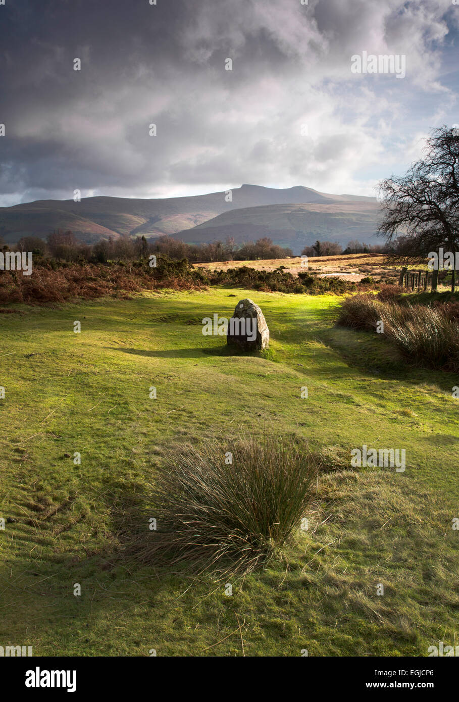 Standing stone on Mynydd Illtud common in the Brecon Beacons National Park, with mountains in the background and lit by sunshine Stock Photo