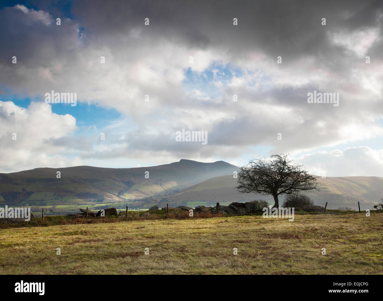 Brecon Beacons mountains of Pen Y Fan and Corn Du, in Wales behind sillhouetted tree, with bright sun and stormy skies. Stock Photo