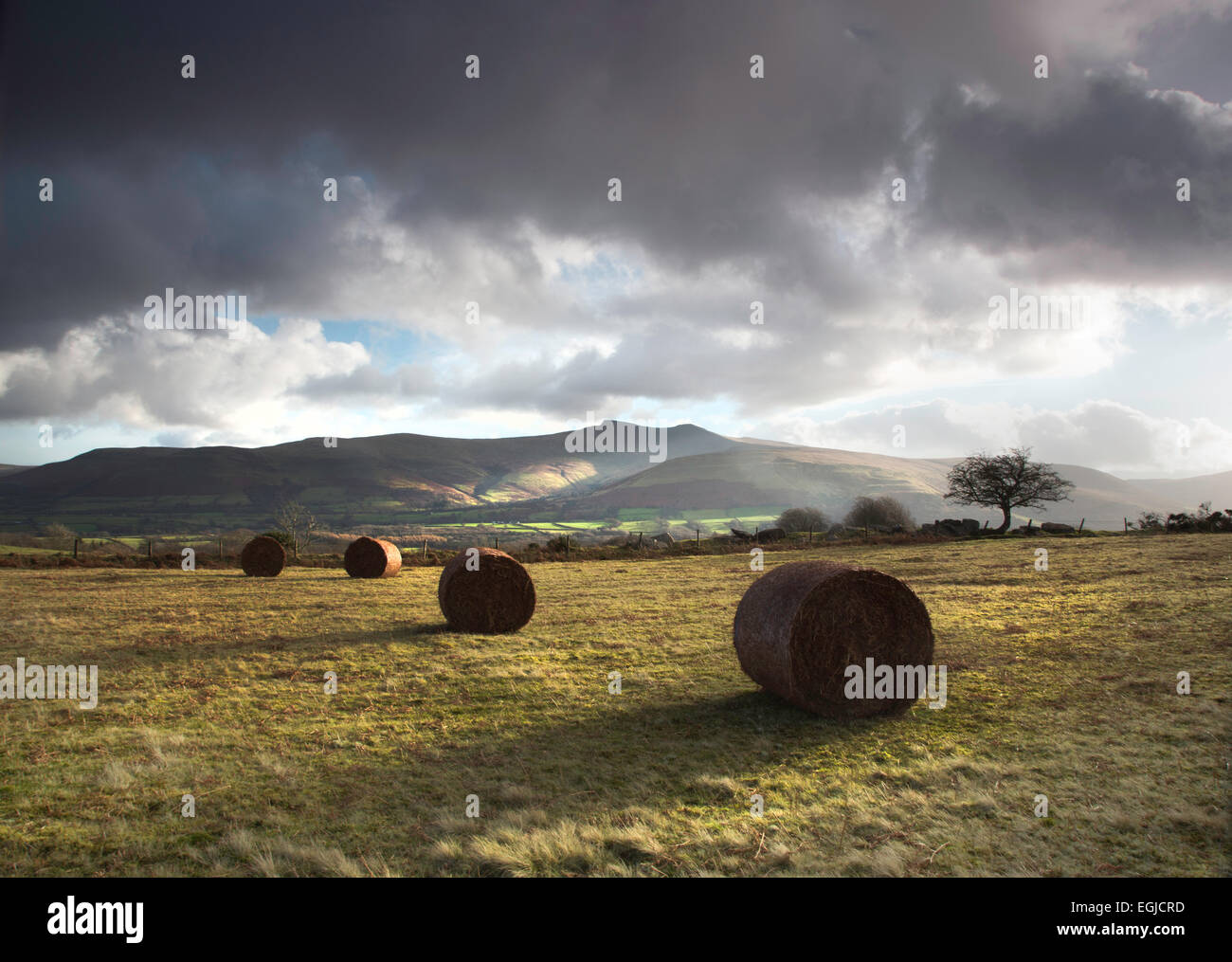 Bales in bright stormy light, with views of the Brecon Beacons from the Mynydd Illtud common Stock Photo