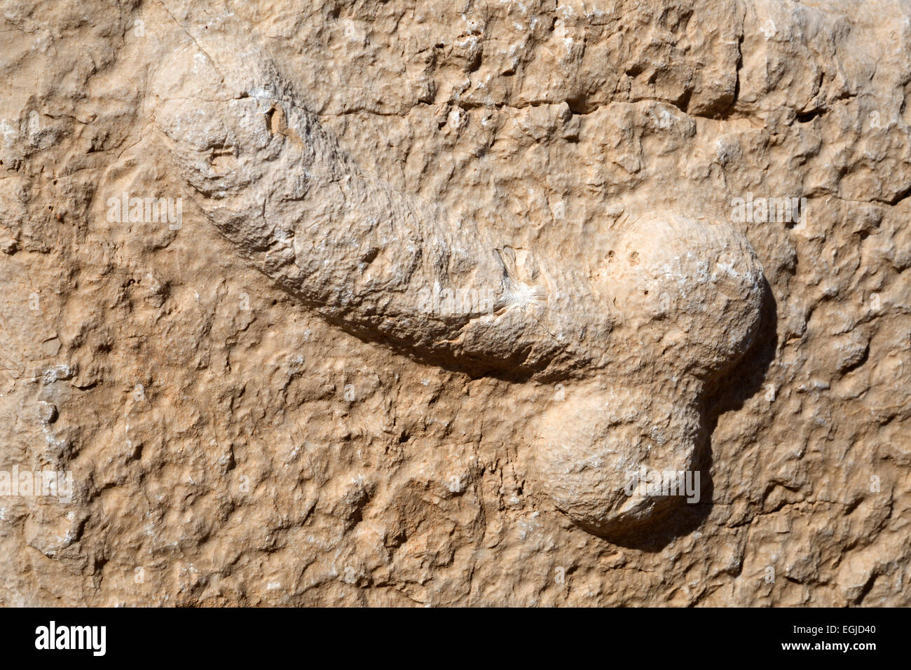 Ancient brothel sign, Patara, near Kalkan, Lycia, Antalya Province, Mediterranean Coast, Southwest Turkey, Turkey, Asia Stock Photo