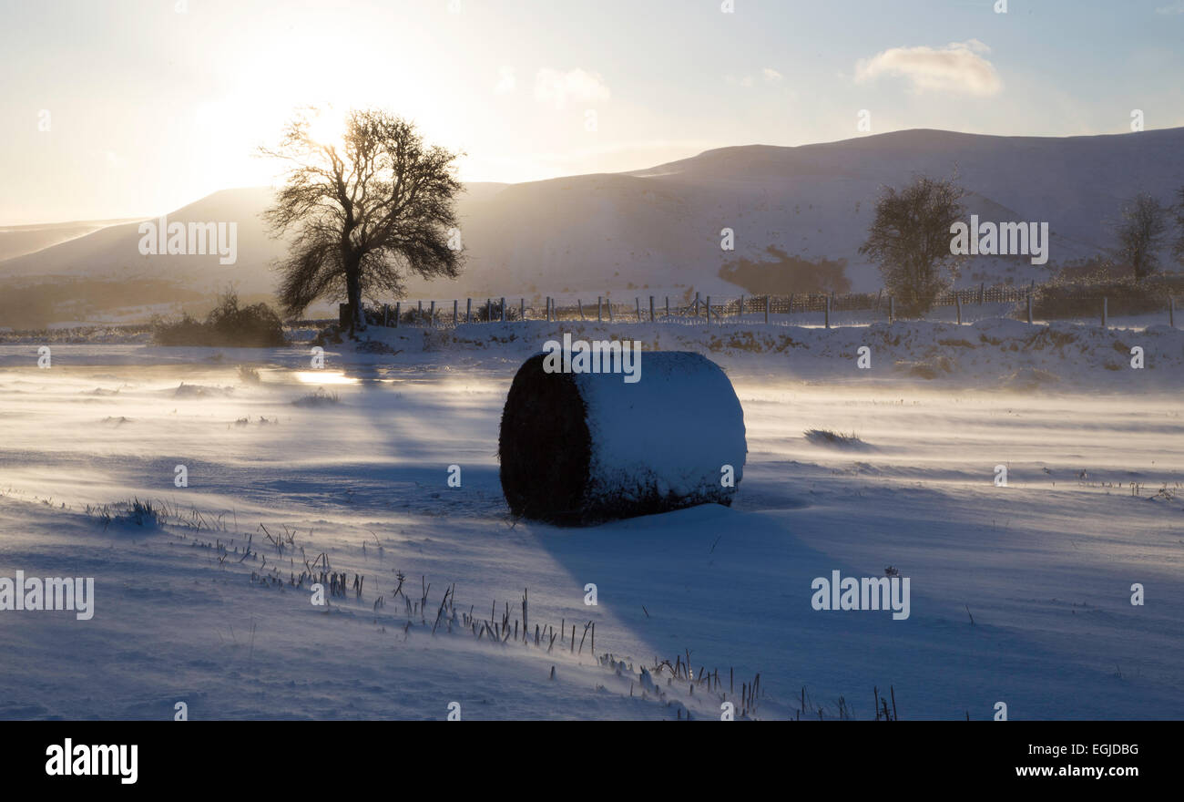 Snowy scene in the Brecon Beacons National Park in Wales, with bright sunshine and windblown drifting snow Stock Photo
