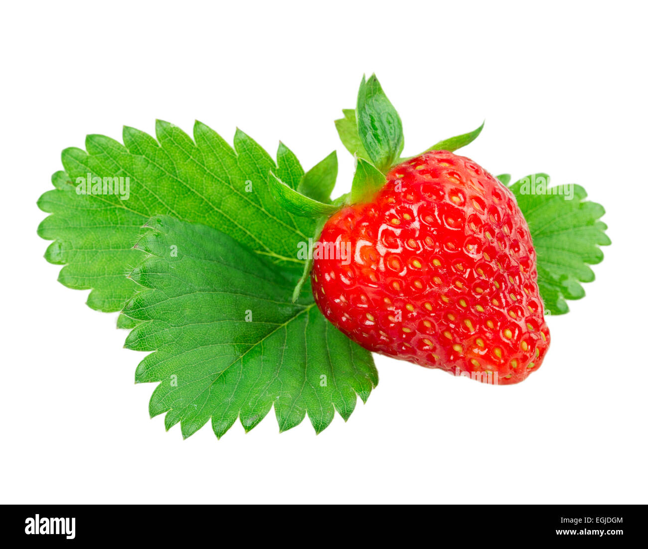 ripe strawberries isolated on white background Stock Photo - Alamy