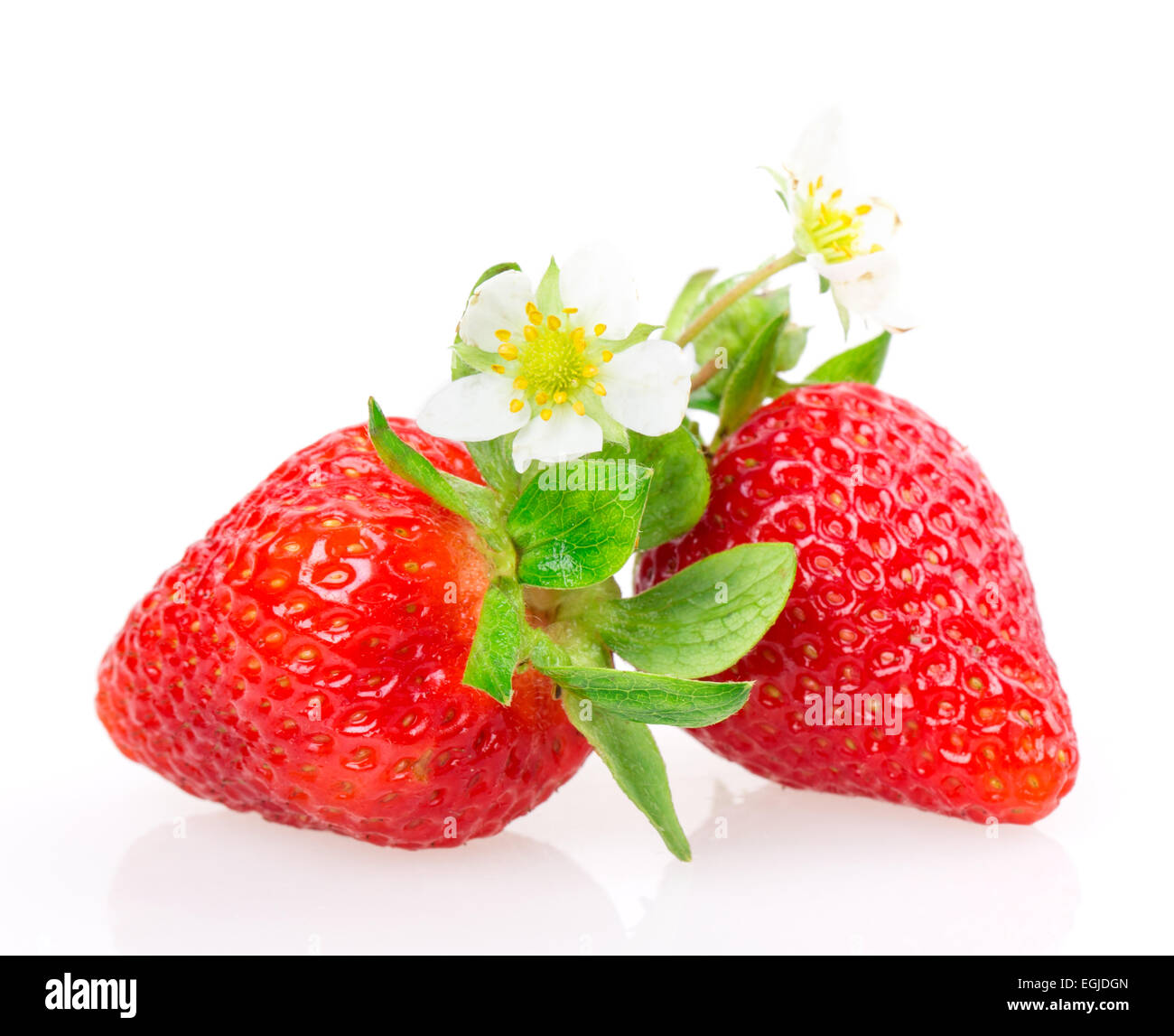 ripe strawberries isolated on white background Stock Photo - Alamy