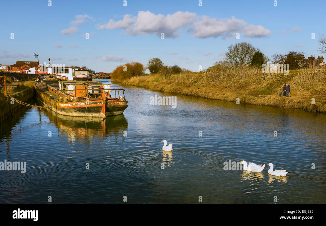 Fishing on river Hull surrounded by derelict barges on a bright sunny afternoon in winter, Beverley, Yorkshire. Stock Photo