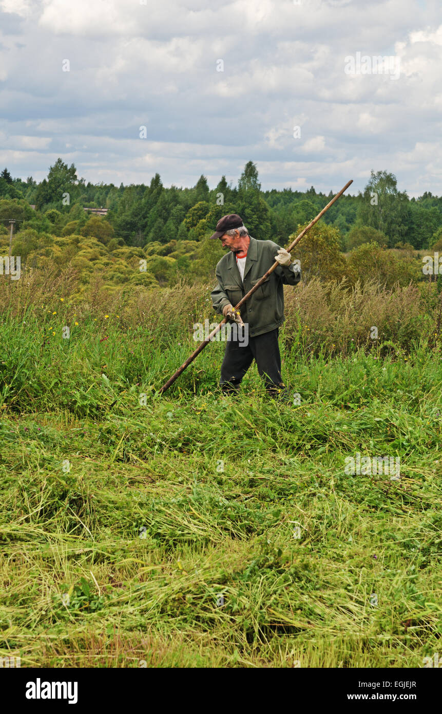 Cutting grass on village garden Stock Photo Alamy