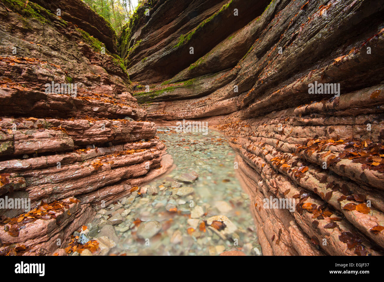 Taugl stream, Tauglbach or Taugl River, Taugl River Gorge, Tennengau region, Salzburg State, Austria Stock Photo