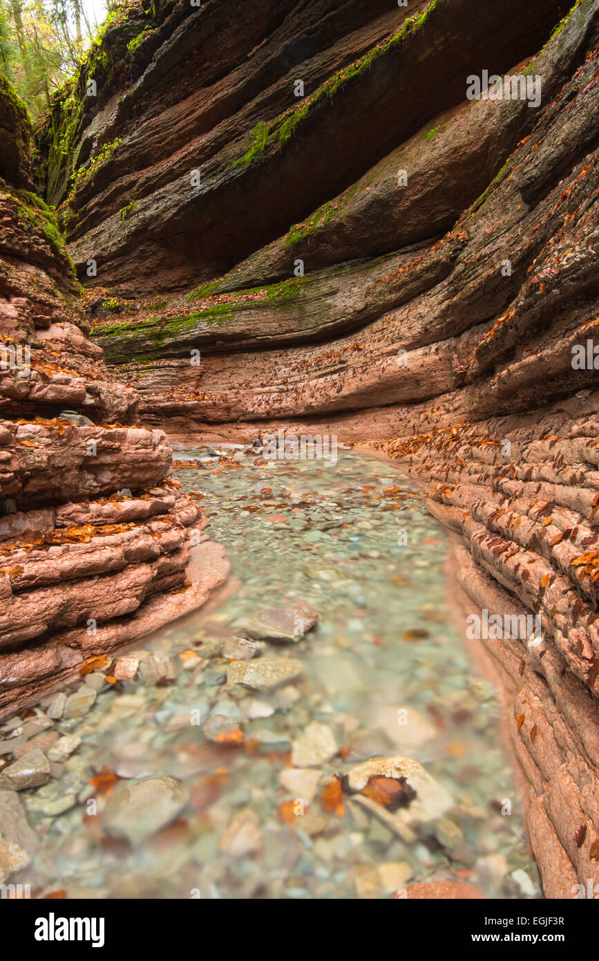 Taugl stream, Tauglbach or Taugl River, Taugl River Gorge, Tennengau region, Salzburg State, Austria Stock Photo