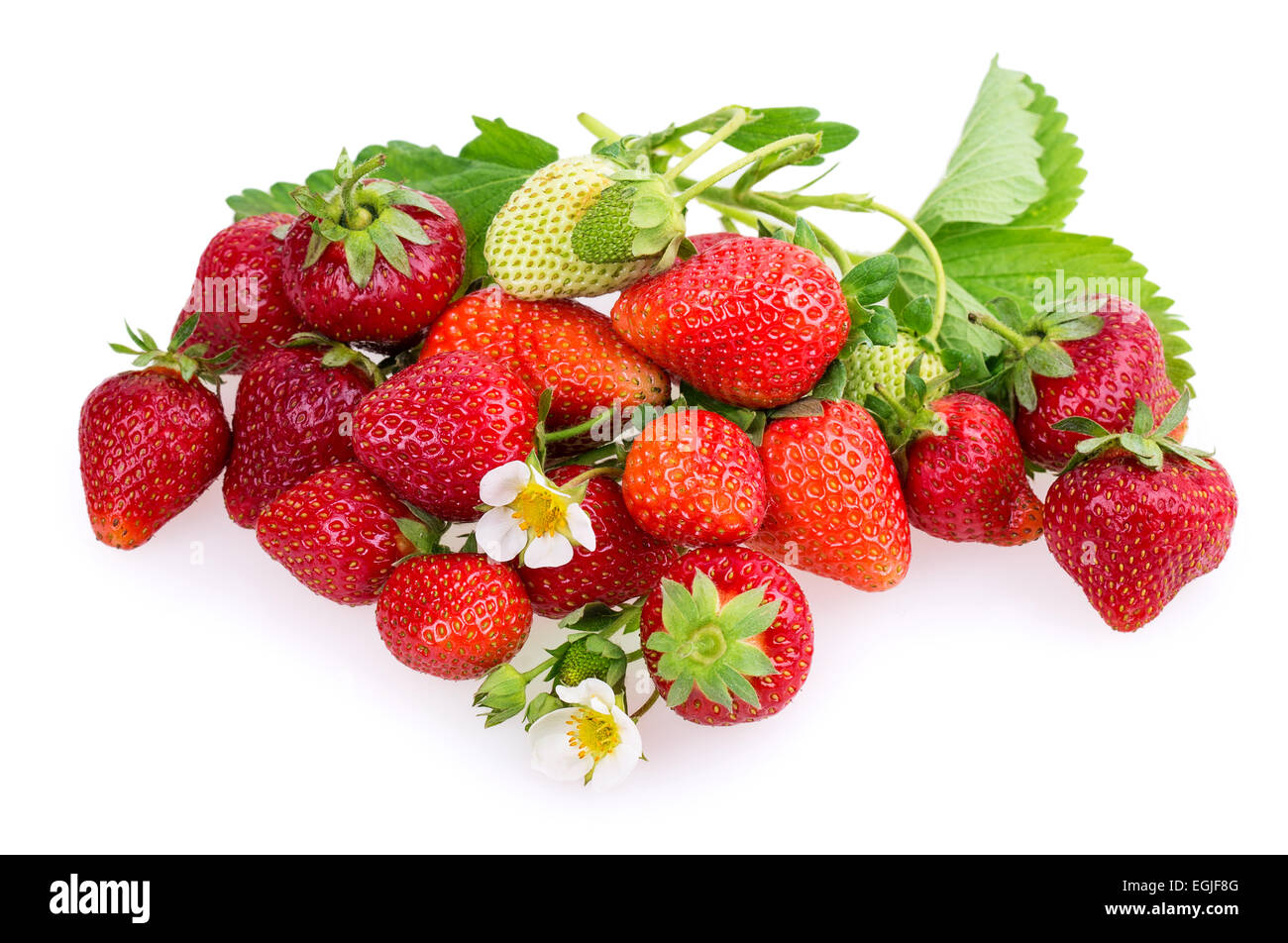ripe strawberries isolated on white background Stock Photo - Alamy