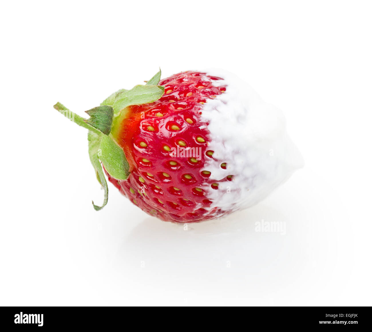 juicy ripe strawberries with leaves on a white background Stock Photo ...