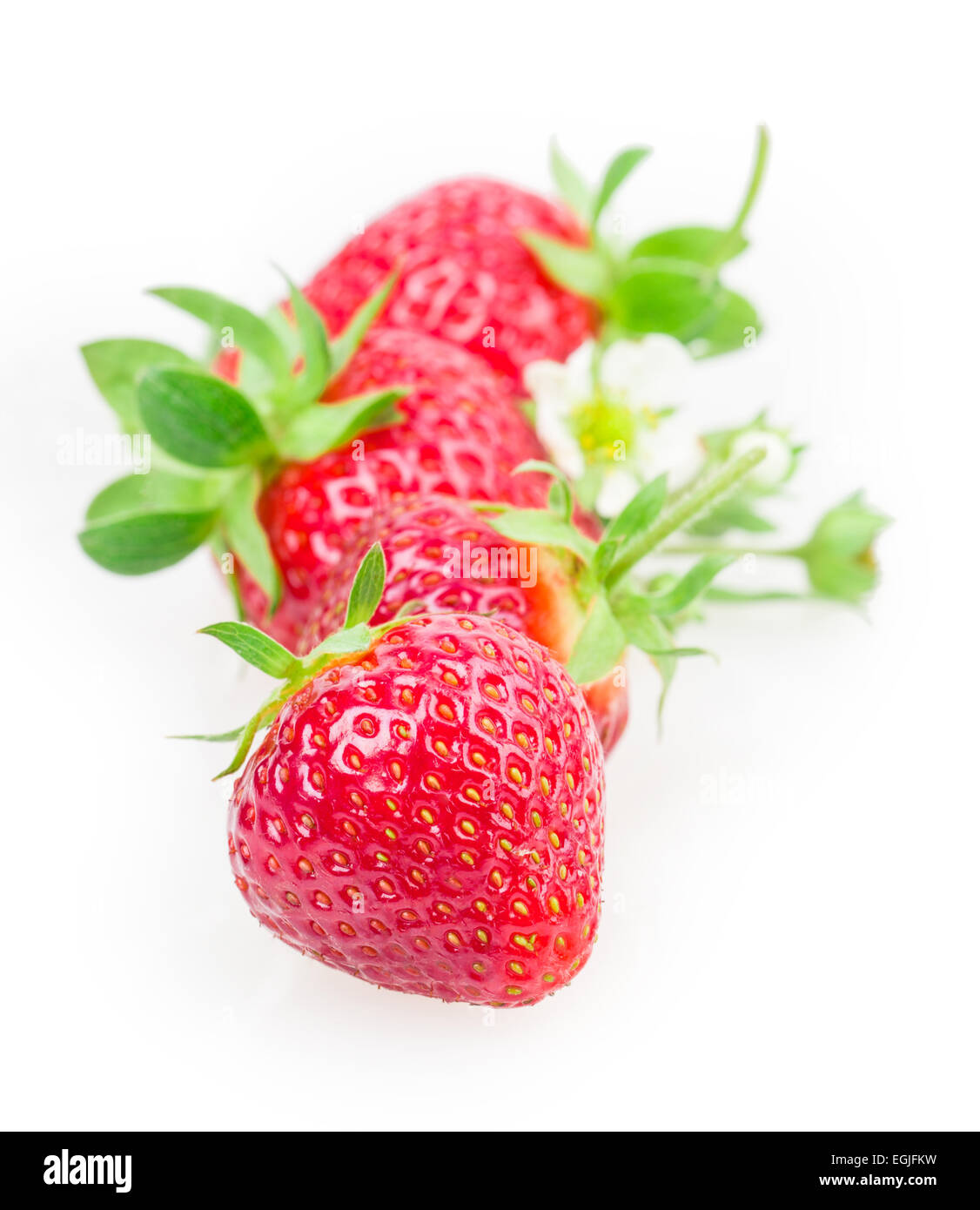 ripe strawberries isolated on white background Stock Photo - Alamy