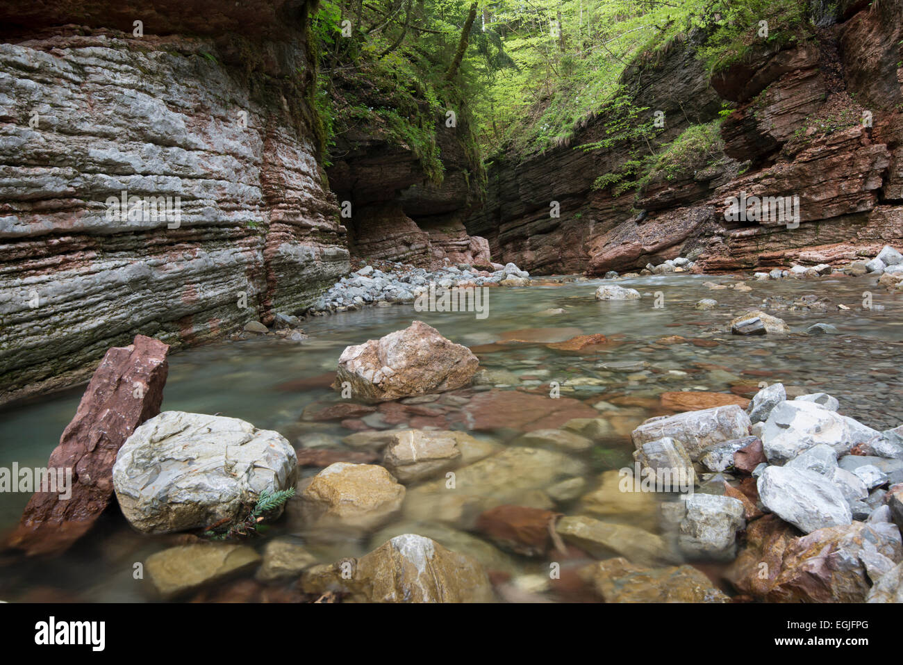 Taugl stream, Tauglbach or Taugl River, Taugl River Gorge, Tennengau region, Salzburg State, Austria Stock Photo