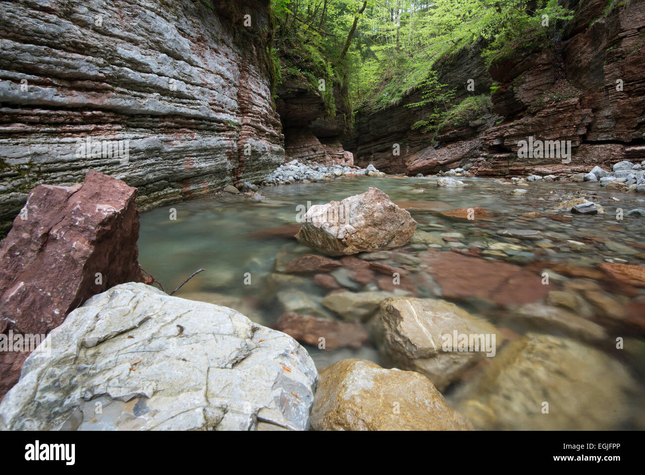 Taugl stream, Tauglbach or Taugl River, Taugl River Gorge, Tennengau region, Salzburg State, Austria Stock Photo