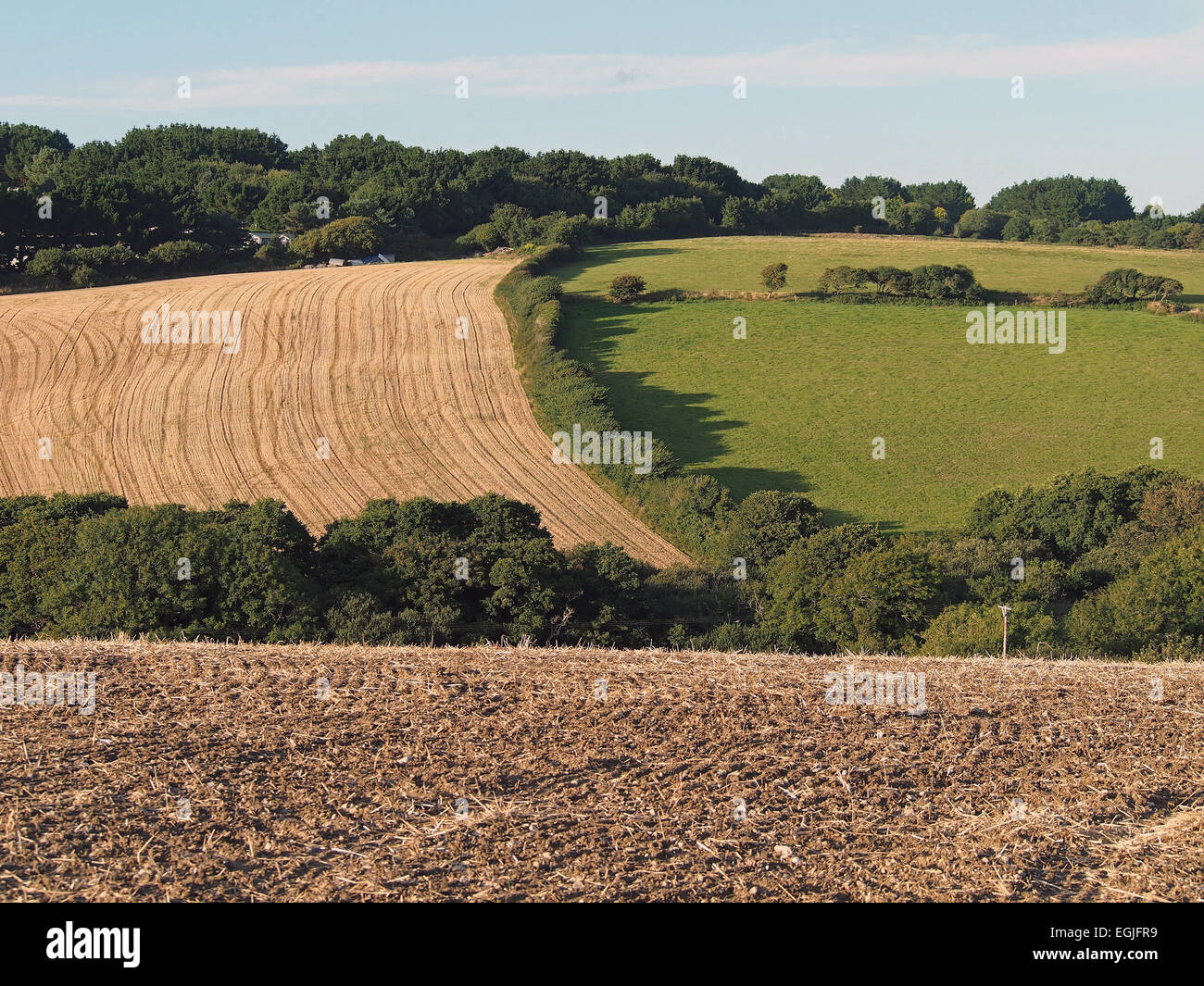 Field patterns in English Cornish countryside Stock Photo