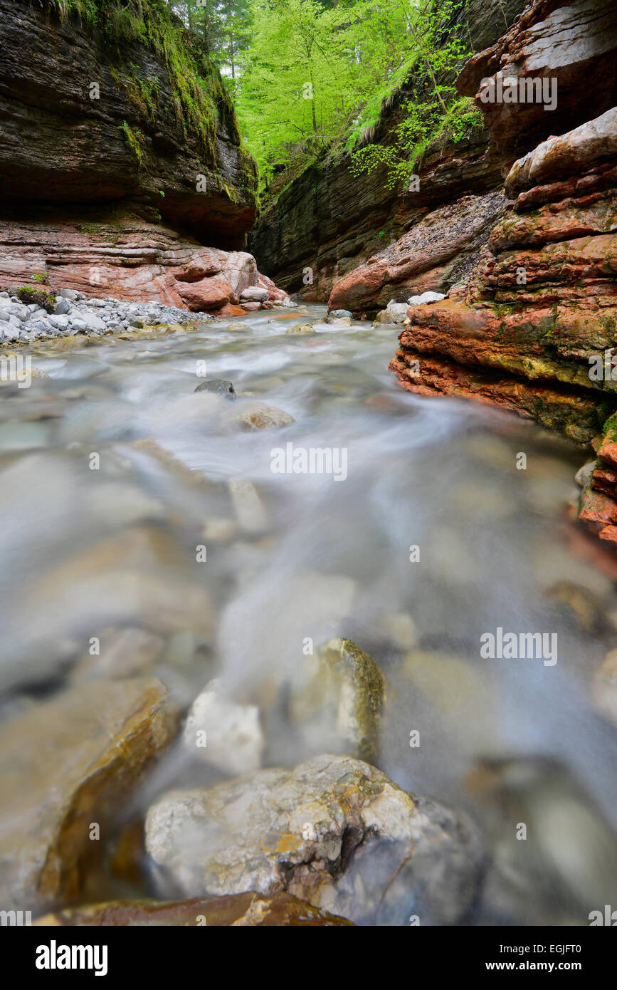 Taugl stream, Tauglbach or Taugl River, Taugl River Gorge, Tennengau region, Salzburg State, Austria Stock Photo