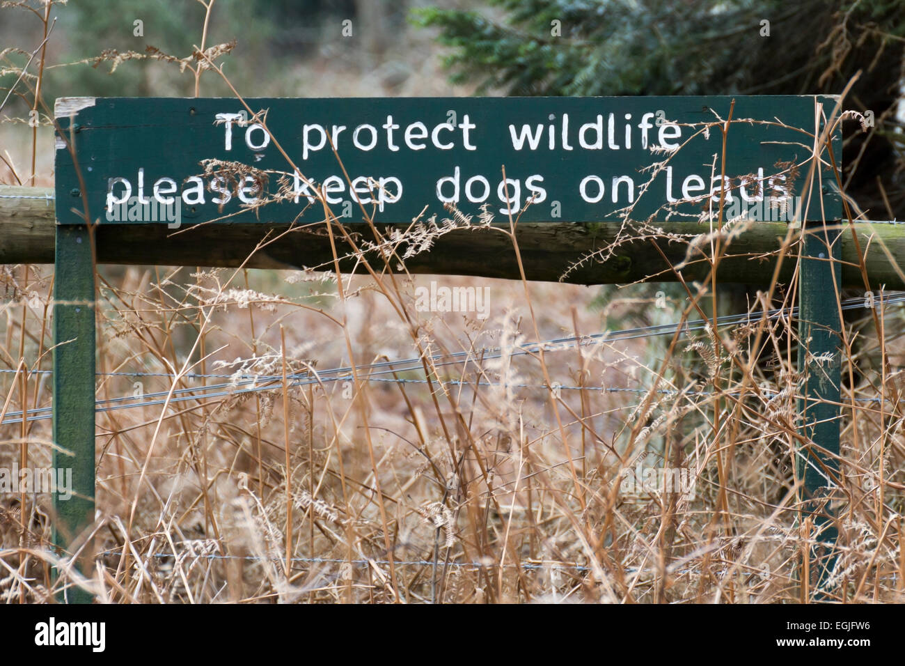 To protect wildlife please keep dogs on leads sign in Norfolk Stock