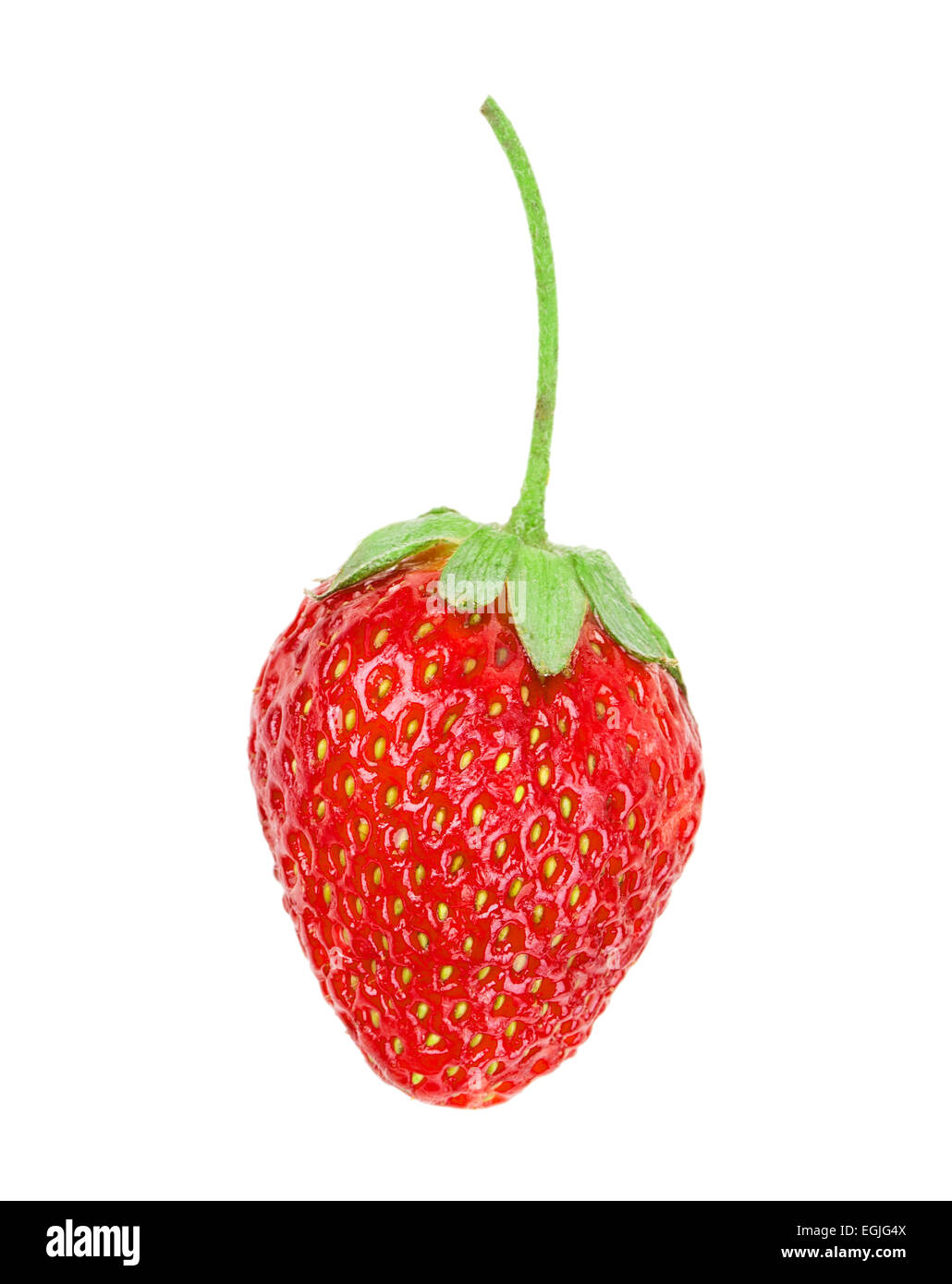 juicy ripe strawberries with leaves on a white background Stock Photo ...